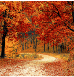 autumn